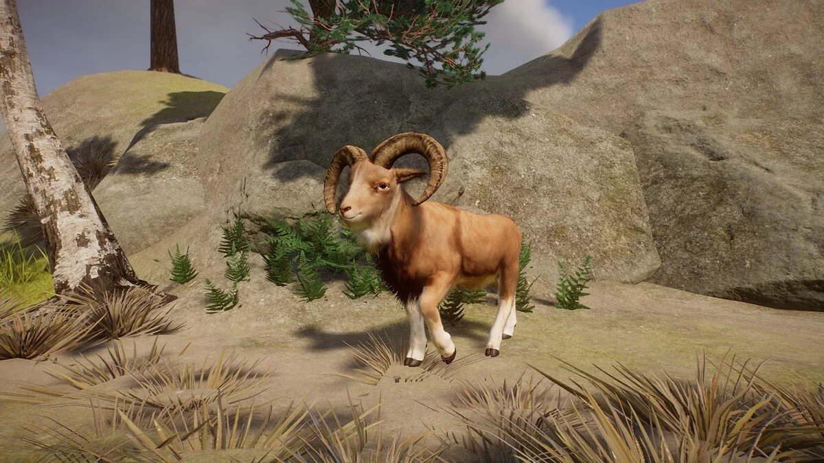 Planet Zoo — Punjab Urial