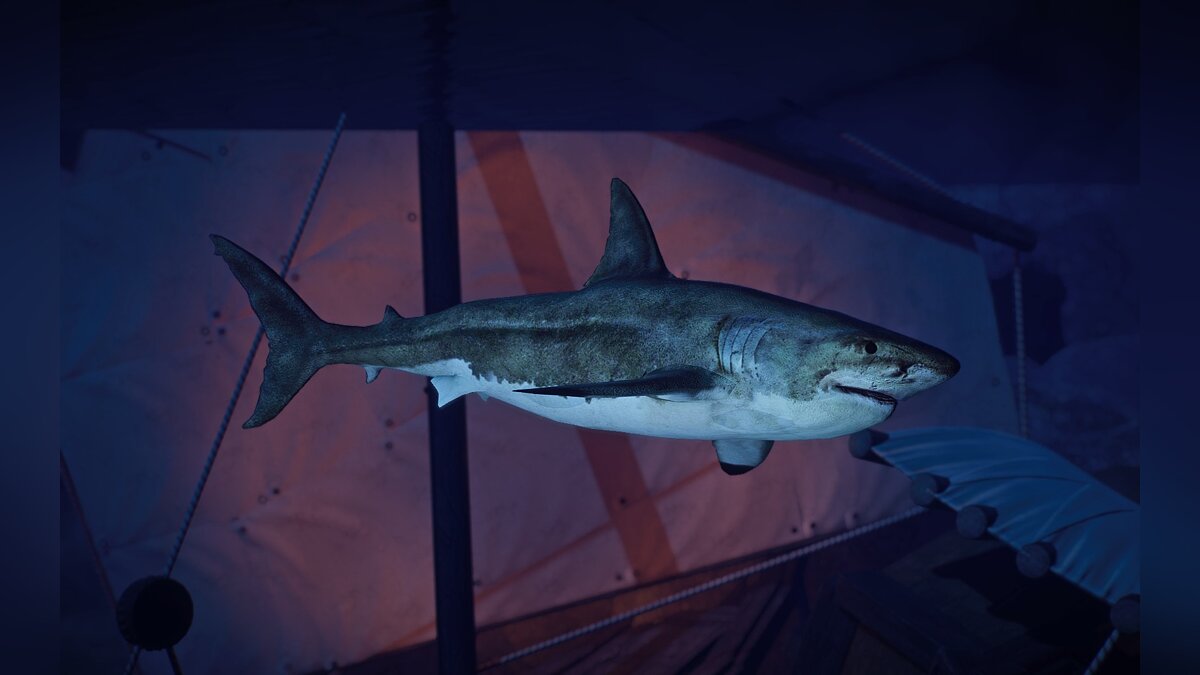 Planet Zoo — New species - Great white shark