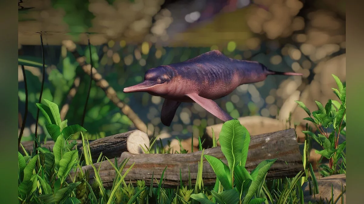 Planet Zoo — New species - Amazon River dolphins