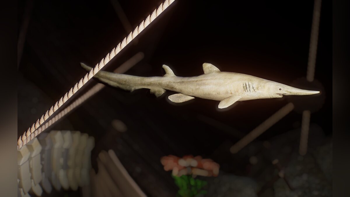 Planet Zoo — New species - goblin shark