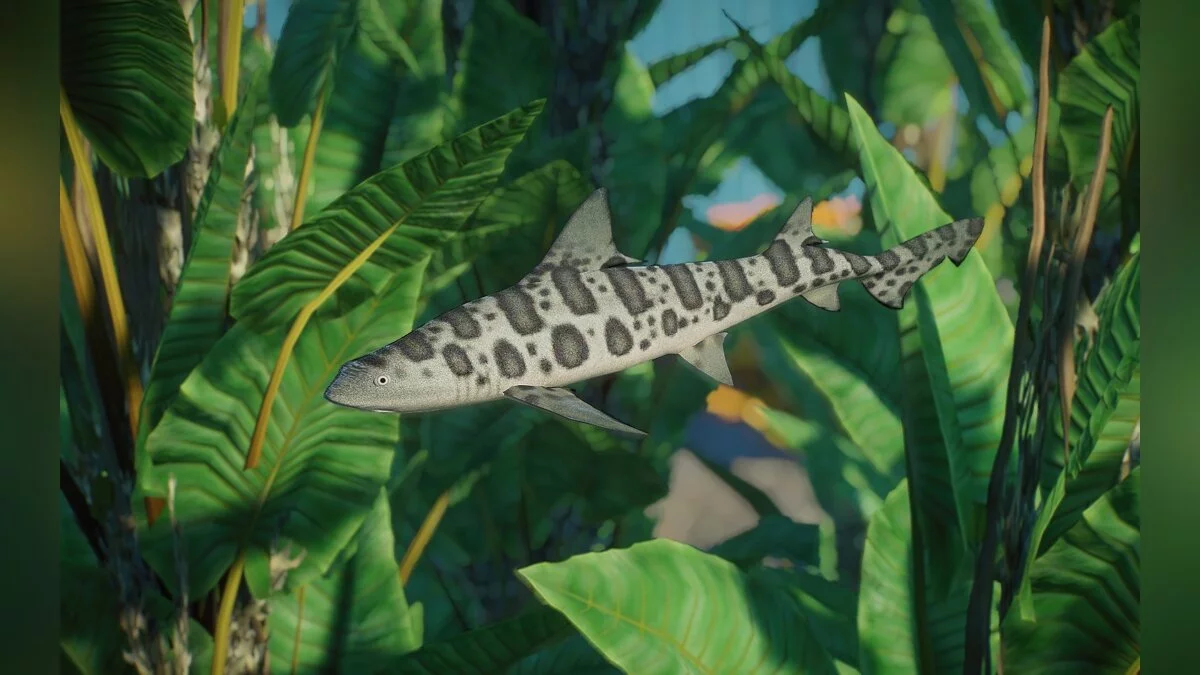 Planet Zoo — New species - leopard shark