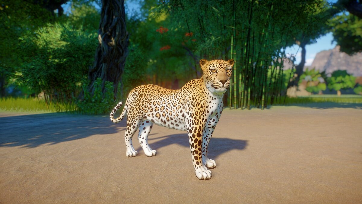 Planet Zoo — Sri Lankan leopard - a new species