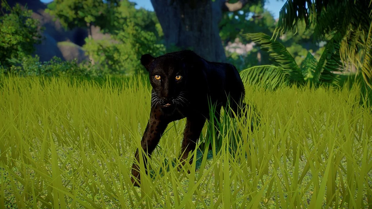Planet Zoo — Šrilanški leopard - nova vrsta