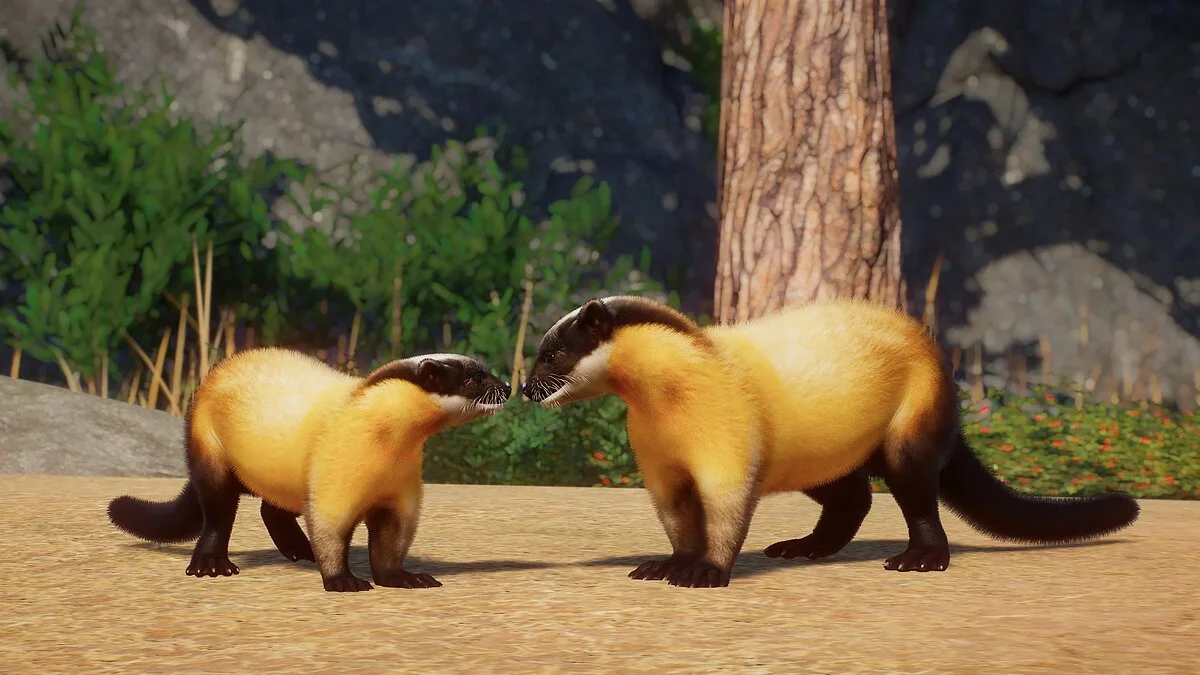 Planet Zoo — Yellow-throated marten - new species