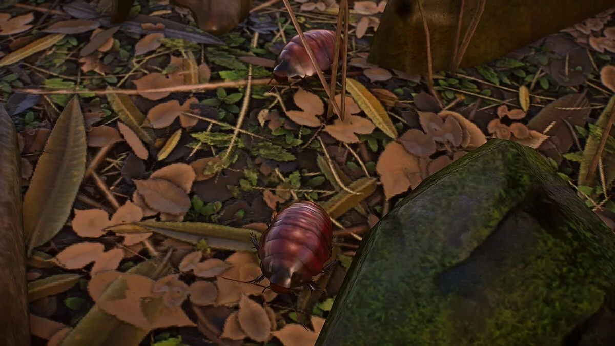 Planet Zoo — Реалистичные беспозвоночные