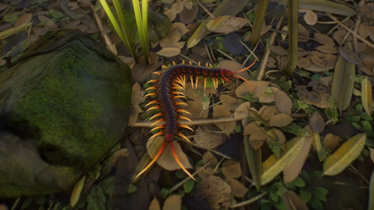 Planet Zoo — Реалистичные беспозвоночные