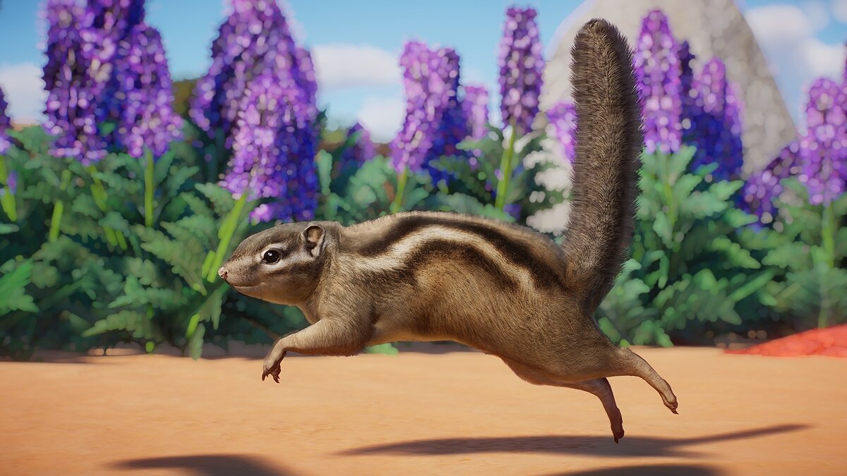 Planet Zoo — Eastern chipmunk - new species