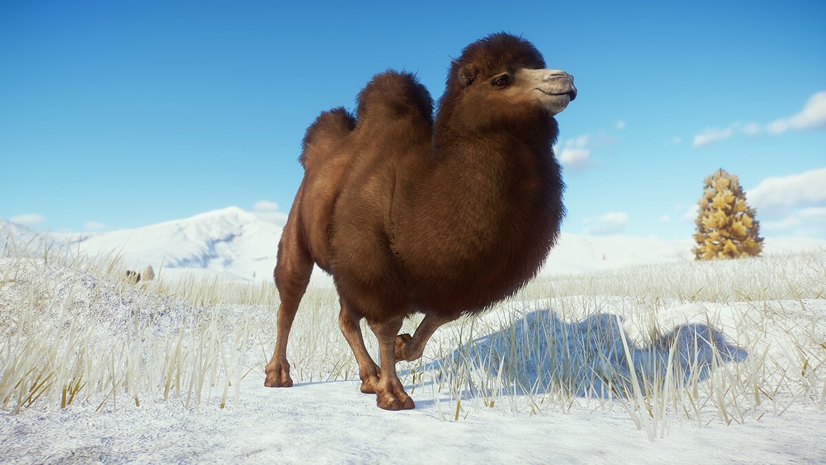 Planet Zoo — Remaster of the furry Bactrian camel