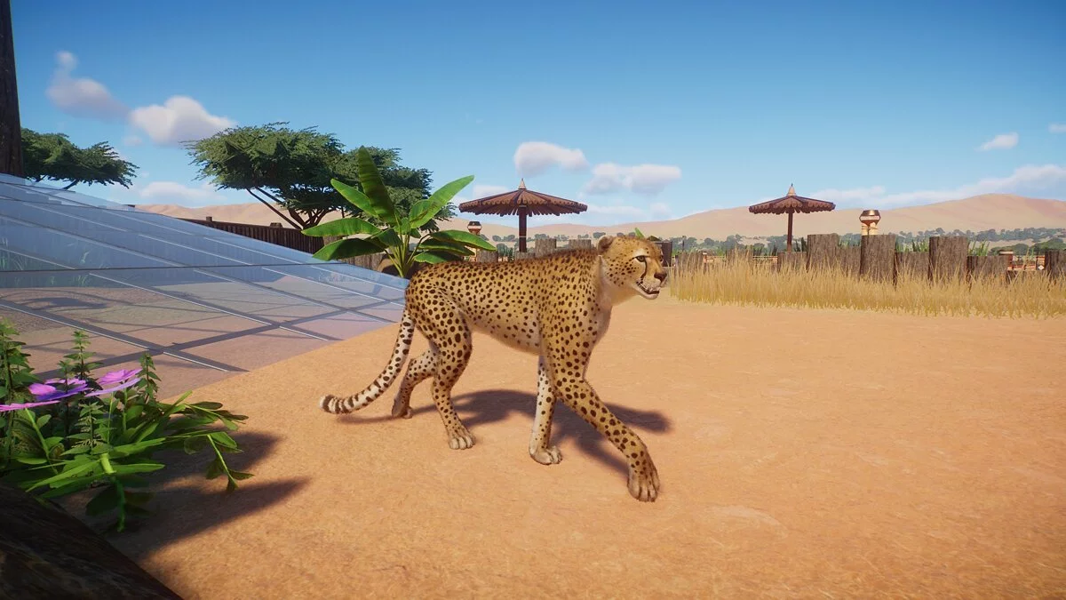 Planet Zoo — guepardo realista