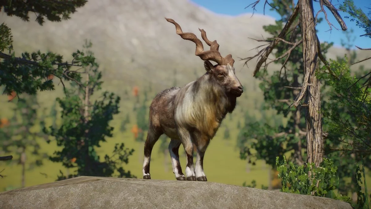 Planet Zoo — Bukhara goat - a new species