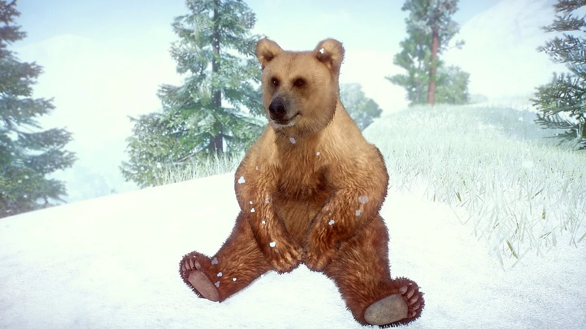 Planet Zoo — Ремастер гималайского бурого медведя