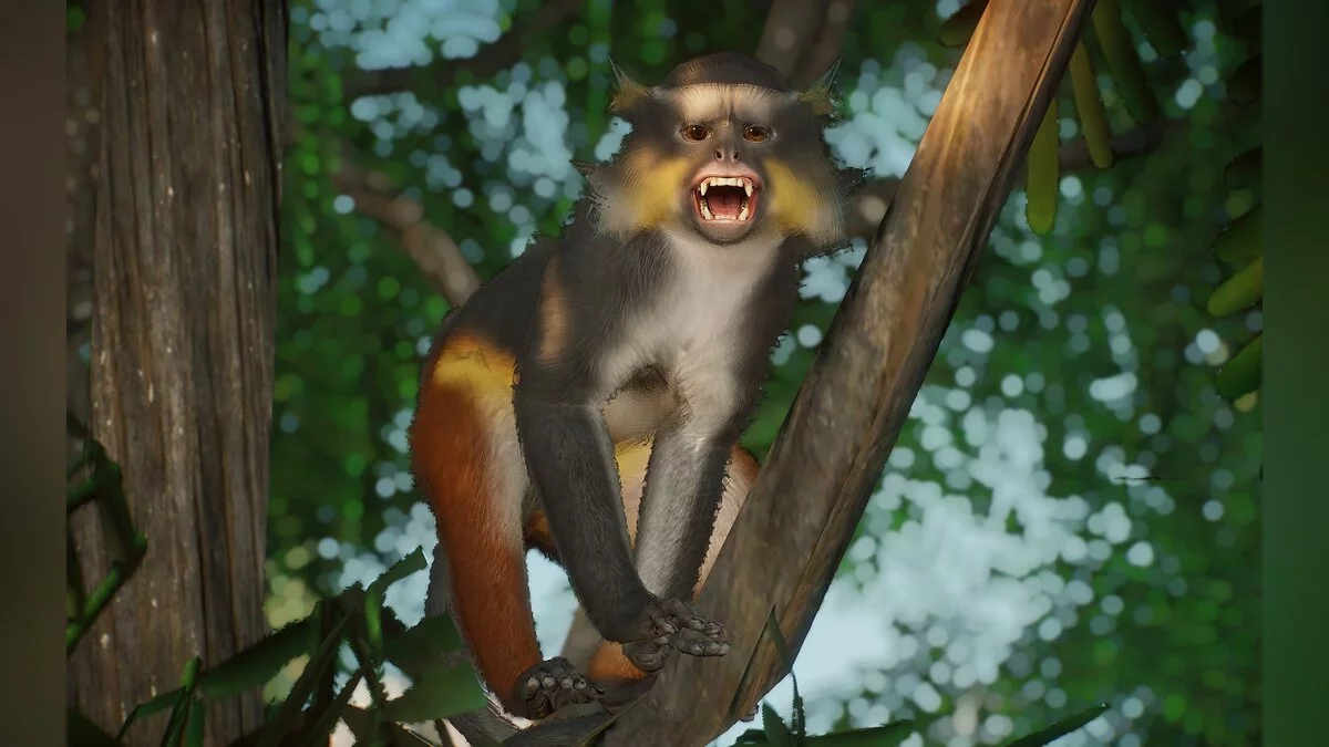 Planet Zoo — Nueva especie: mono lobo-guenón