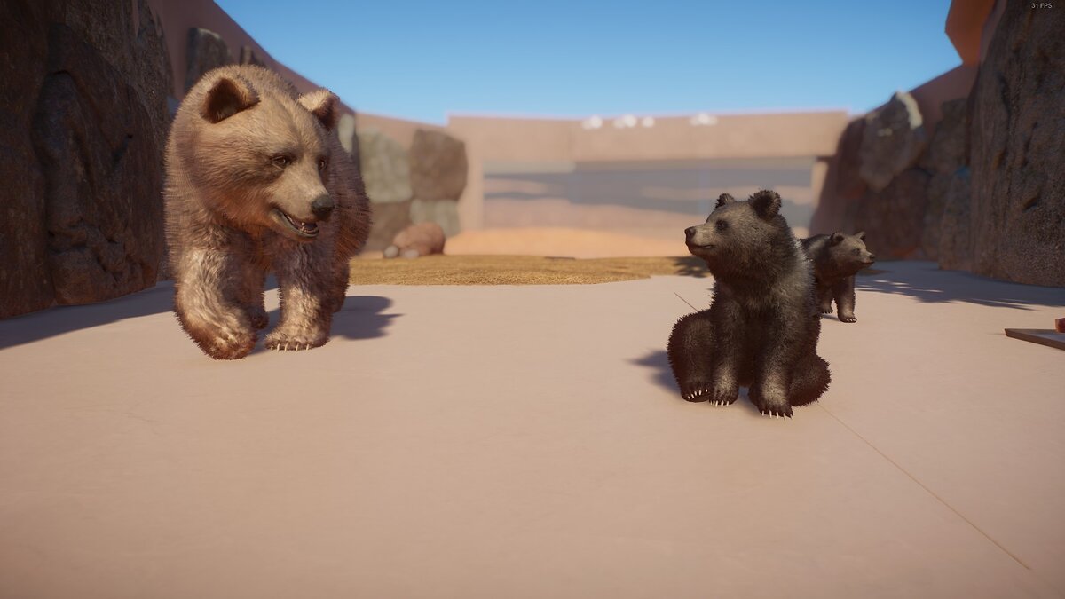 Planet Zoo — Syrian brown bear