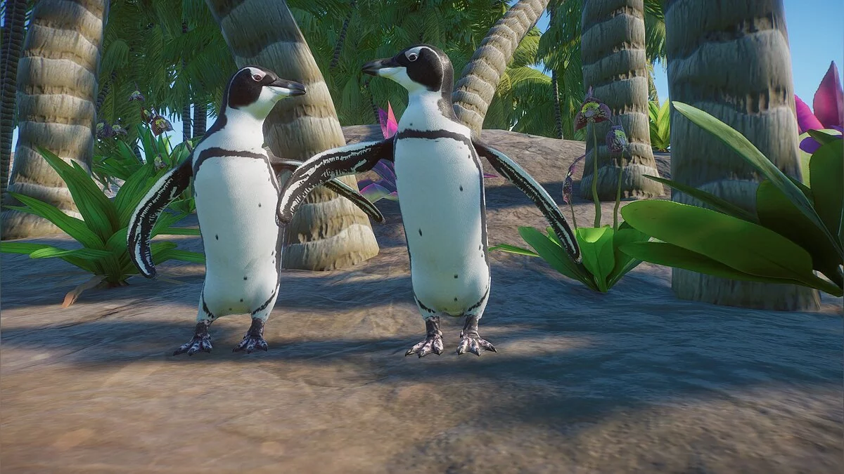 Planet Zoo — Galapagos penguin