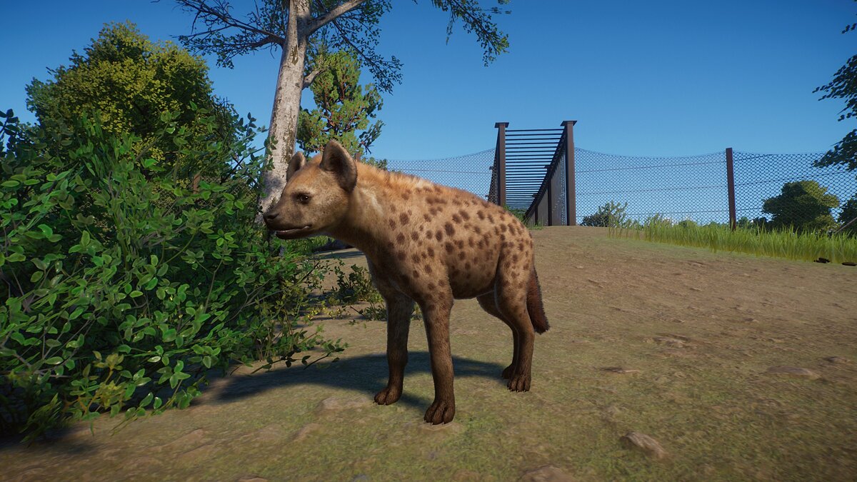 Planet Zoo — Improved Hyena