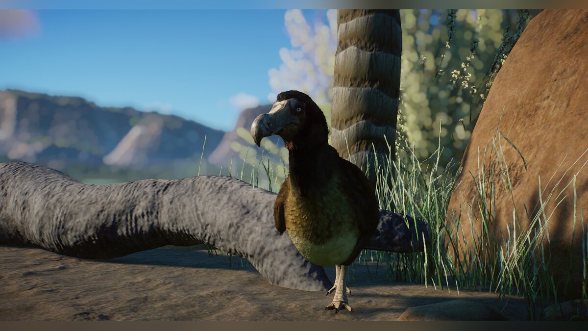 Planet Zoo — New species - Mauritian Dodo