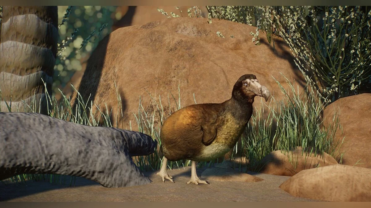 Planet Zoo — Nova vrsta - Mauritian Dodo