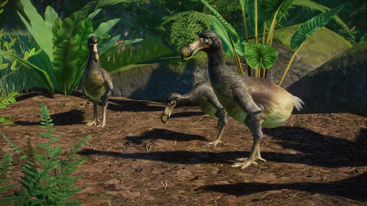 Planet Zoo — Dodo - new species