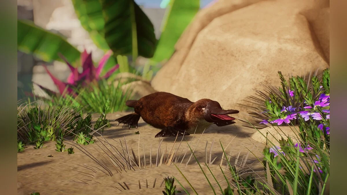Planet Zoo — Новий вид - качконіс