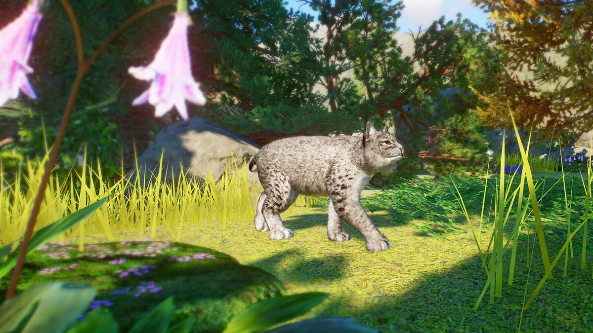 Planet Zoo — Nueva especie: lince rojo