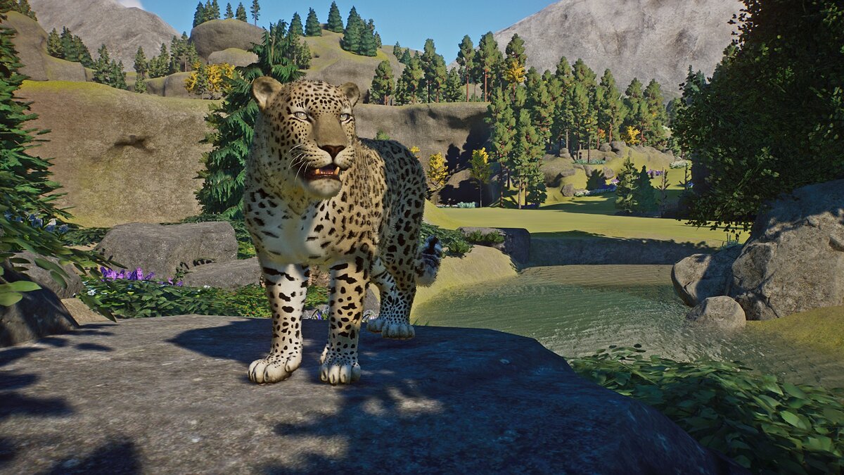 Planet Zoo — Persian leopard - new species