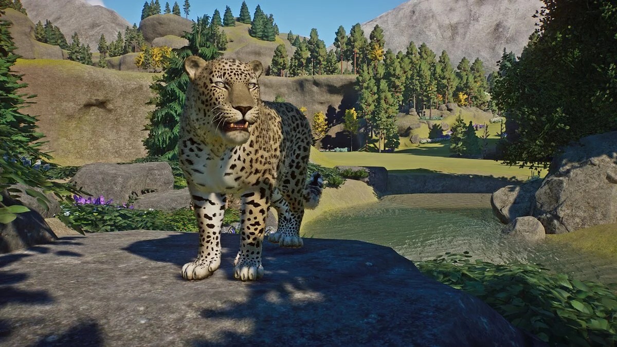 Planet Zoo — Leopardo persa - nueva especie