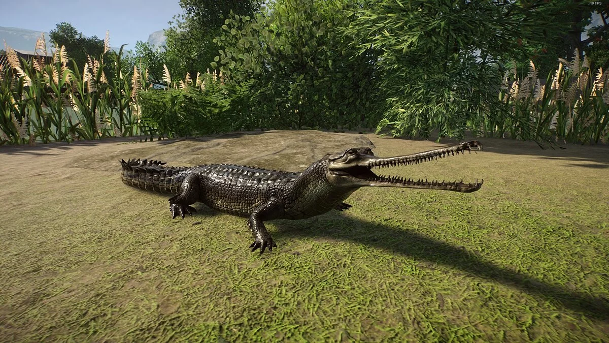 Planet Zoo — Gavial mejorado