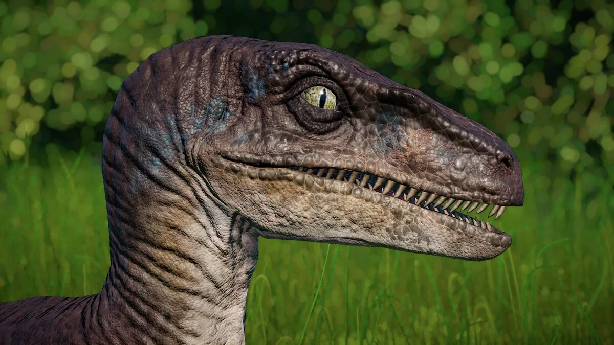 Jurassic World Evolution — Велоцираптор из фильма «Мир юрского периода»