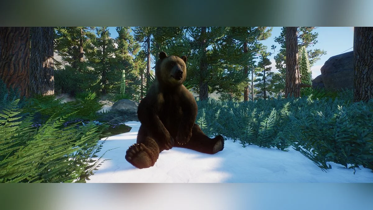 Planet Zoo — Евразийский бурый медведь - новый вид