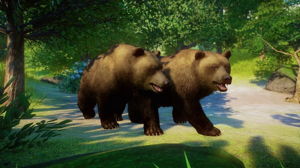 Planet Zoo — Eurasian brown bear - a new species