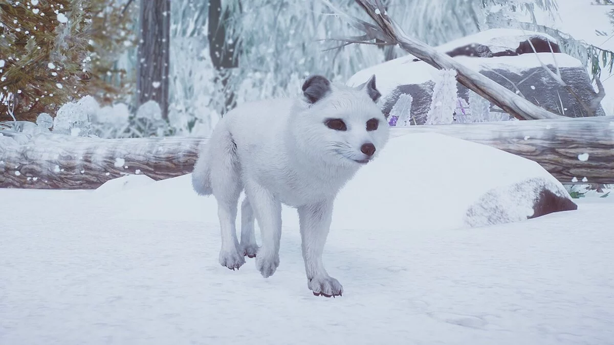 Planet Zoo — Arctic fox - new species