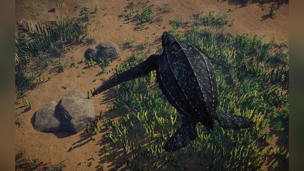 Planet Zoo — Новый вид - кожистая морская черепаха