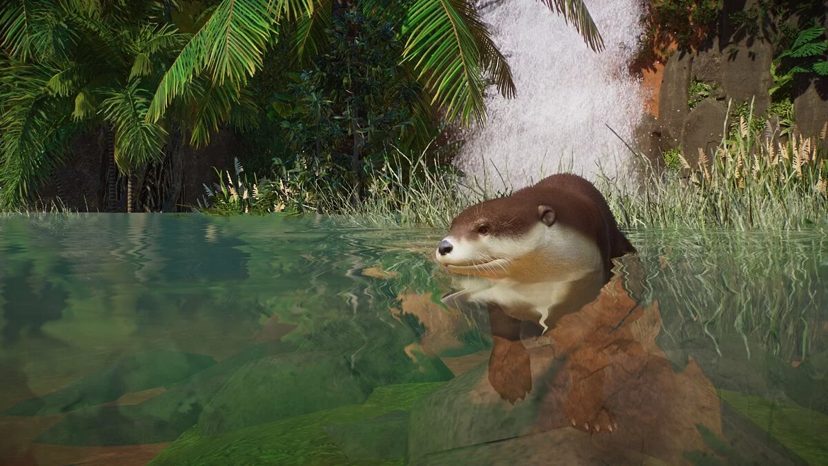 Planet Zoo — Азіатська малокігтиста видра (новий вигляд)