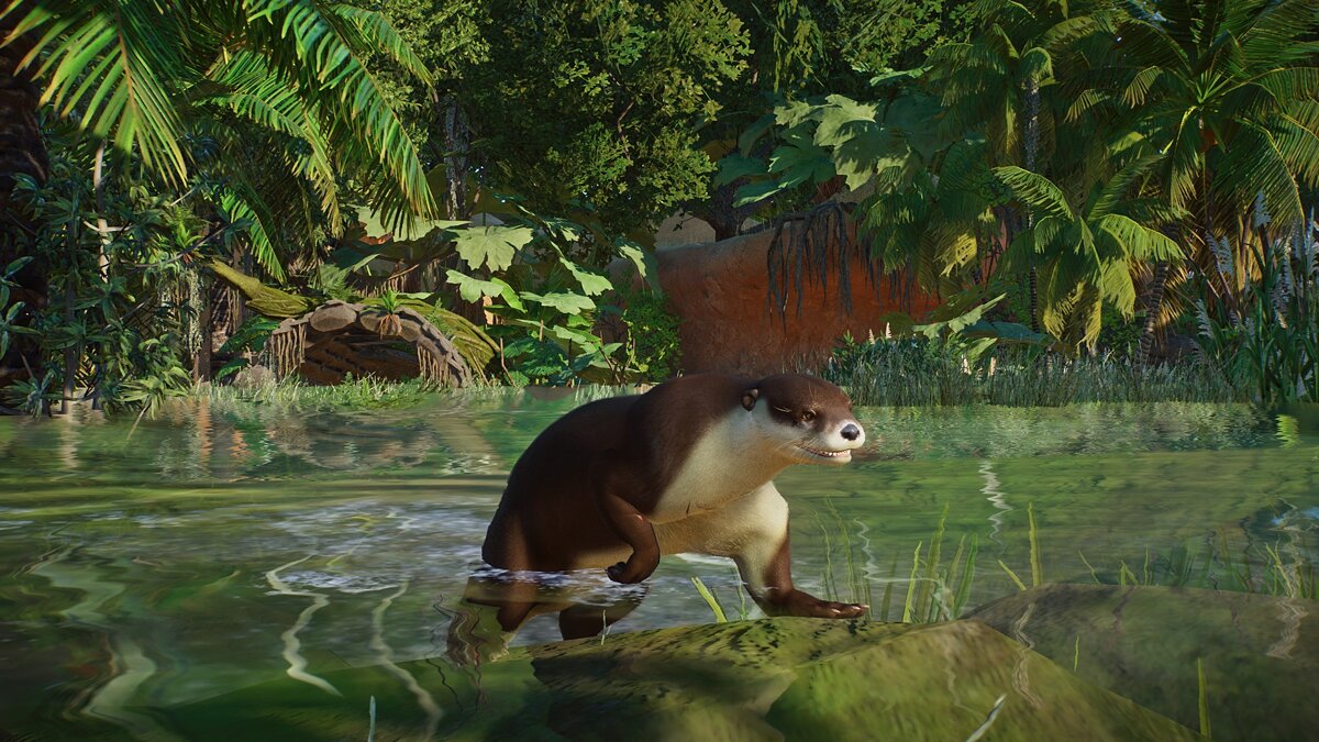 Planet Zoo — Asian small-clawed otter (new species)