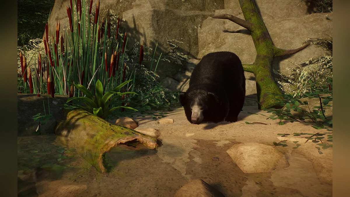 Planet Zoo — Новий вид - ведмідь-лінивець