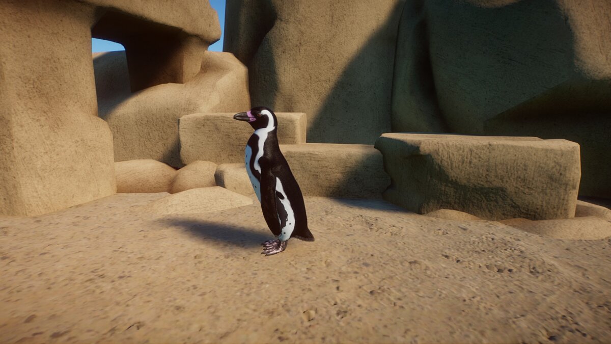 Planet Zoo — Humboldt penguin (new species)