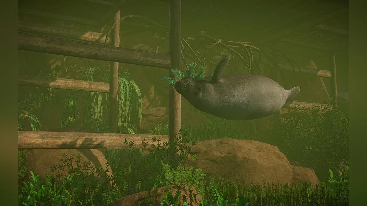 Planet Zoo — Новый вид - Вест-индский ламантин