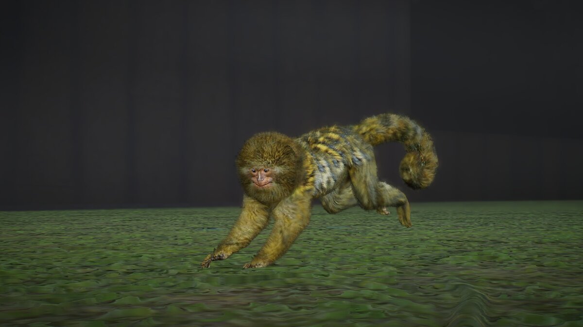 Planet Zoo — Eastern pygmy marmoset - new species