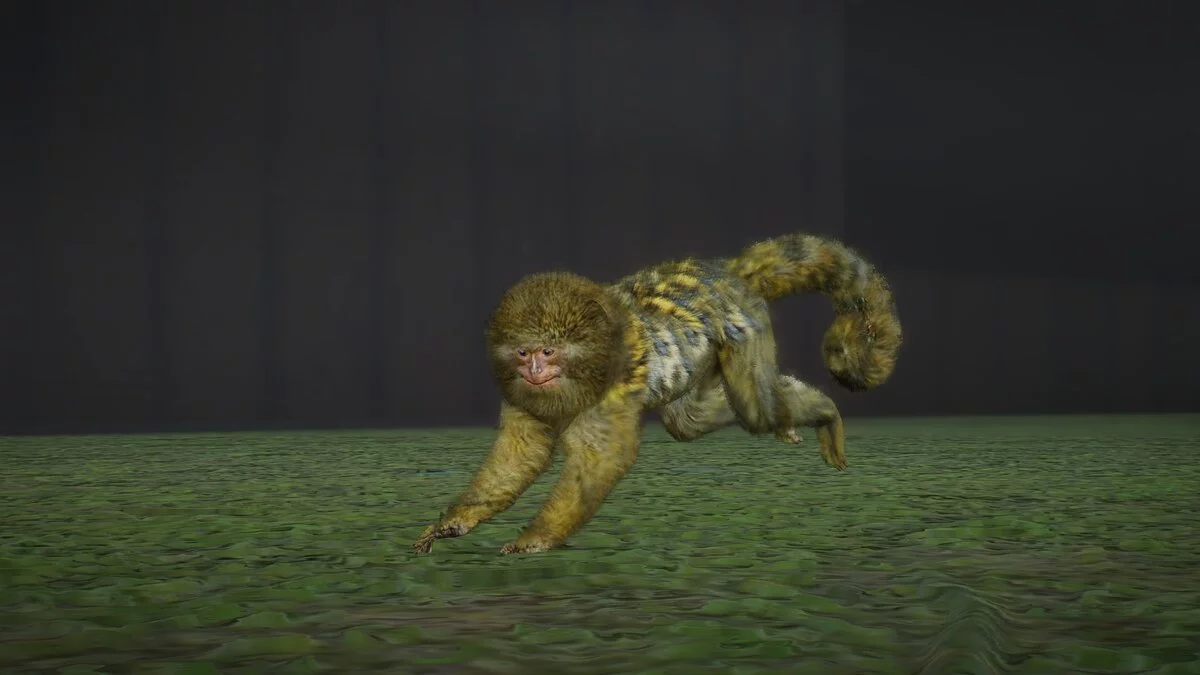 Planet Zoo — Eastern pygmy marmoset - new species