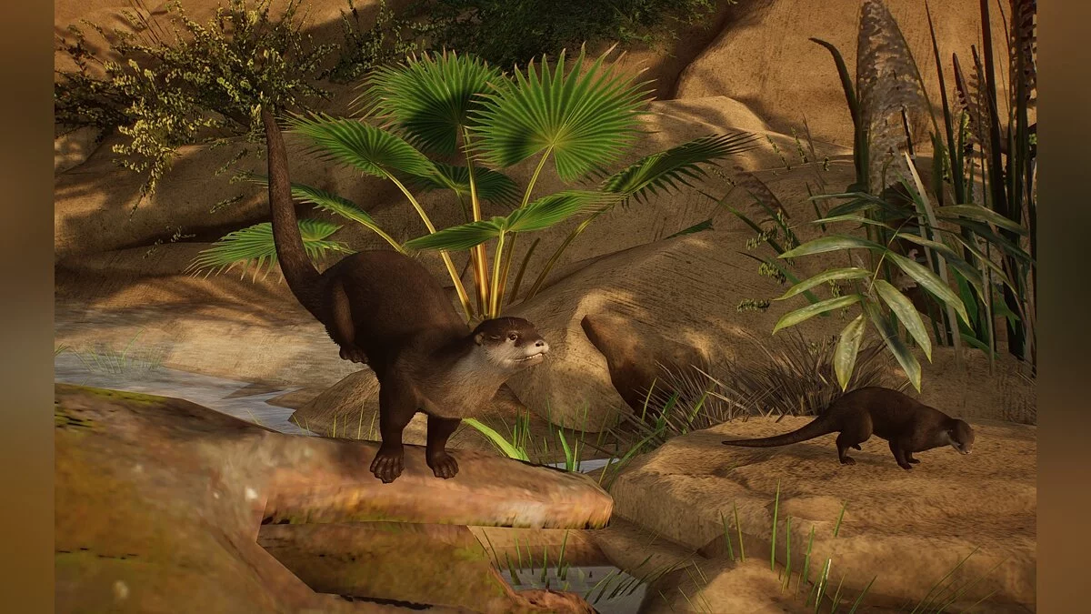 Planet Zoo — Новий вид - Азіатська малокігтиста видра