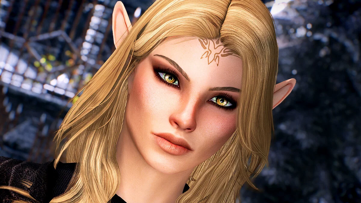 The Elder Scrolls 5: Skyrim Legendary Edition — elenwen caliente