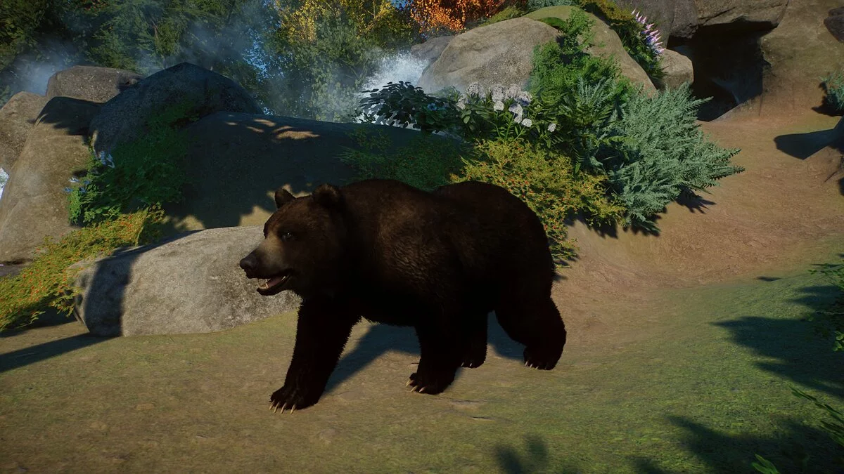 Planet Zoo — Ussuri brown bear - a new species