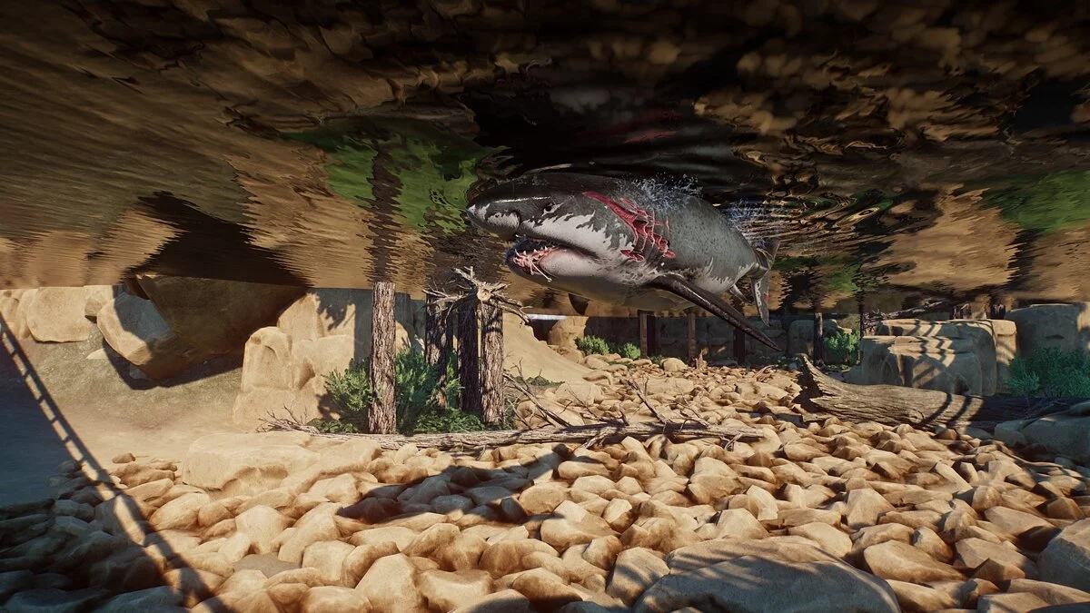 Planet Zoo — Велика біла акула – новий вигляд