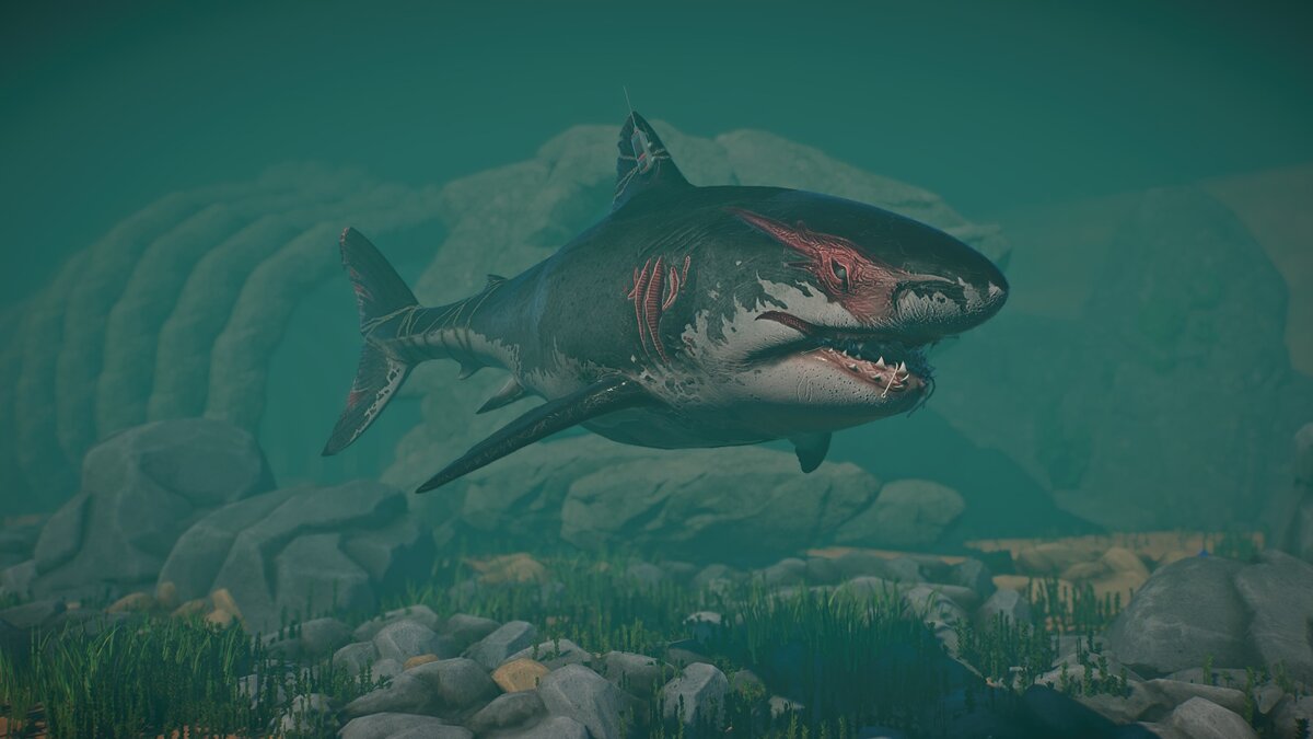 Planet Zoo — Great white shark - new species