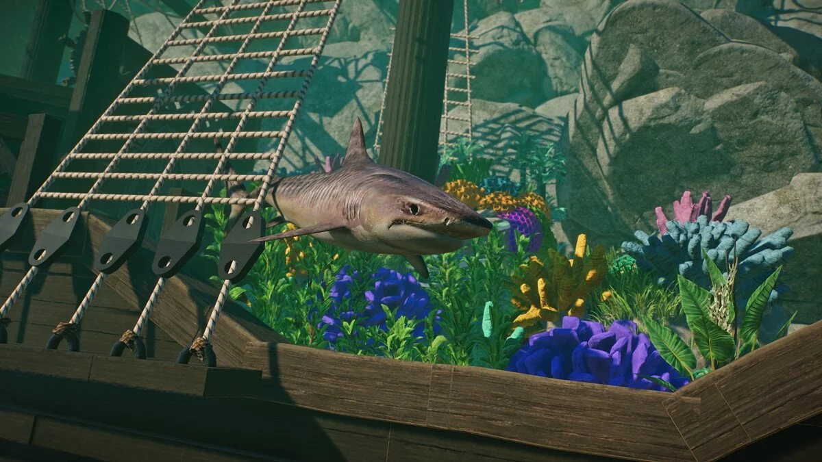 Planet Zoo — Tiger shark - a new species