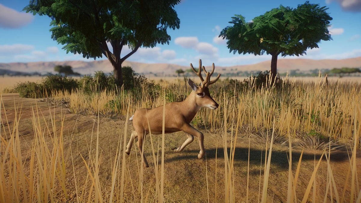 Planet Zoo — Pampas deer