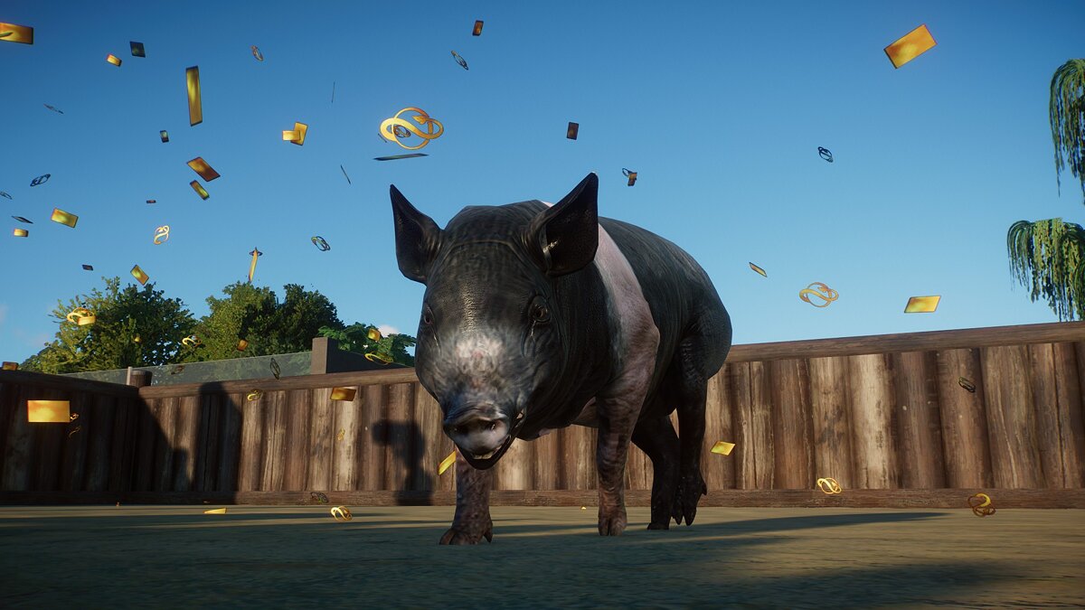 Planet Zoo — Hampshire pig