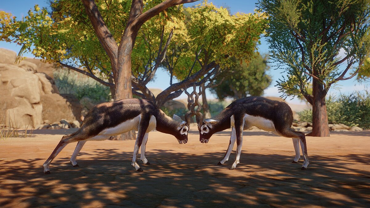 Planet Zoo — Blackbuck - new species