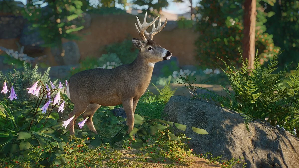 Planet Zoo — White-tailed deer - new species