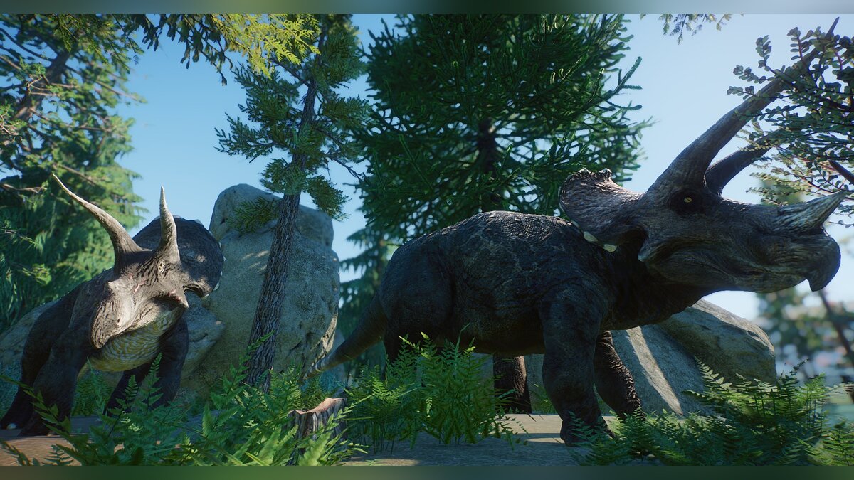 Planet Zoo — New species - Triceratops horridus